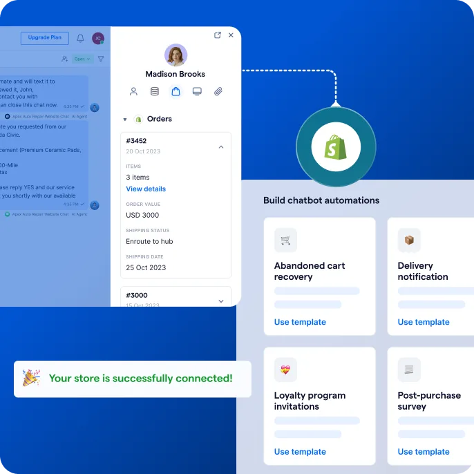 Example of customer file with details and automations available with AI agents
