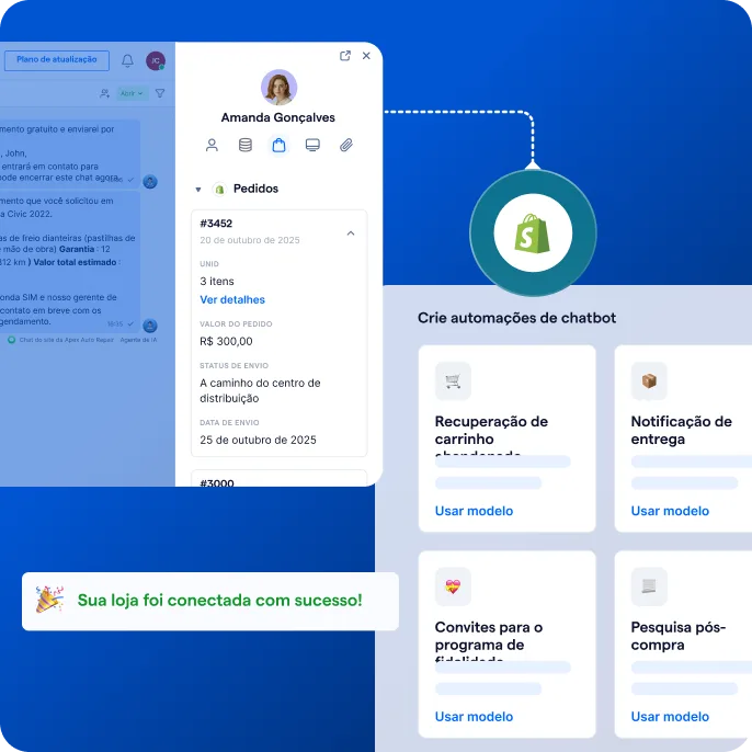 Example of customer file with details and automations available with AI agents