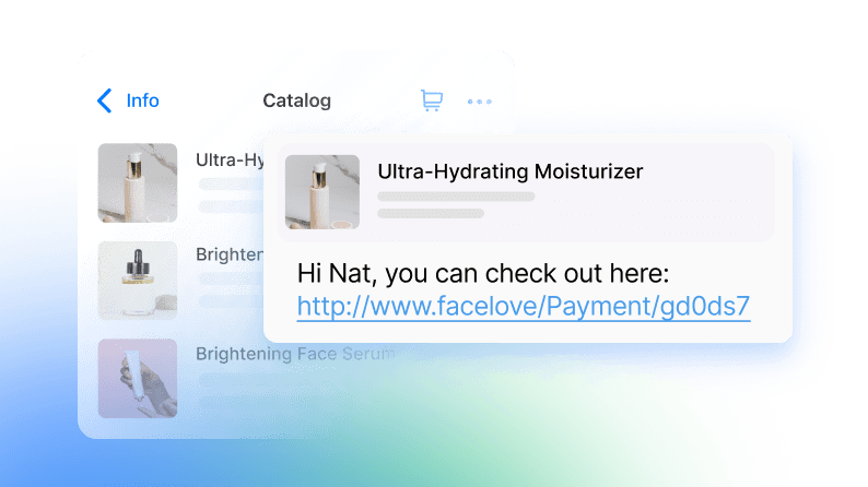 visual example of whatsapp catalog and payment link directly on a whatsapp chat