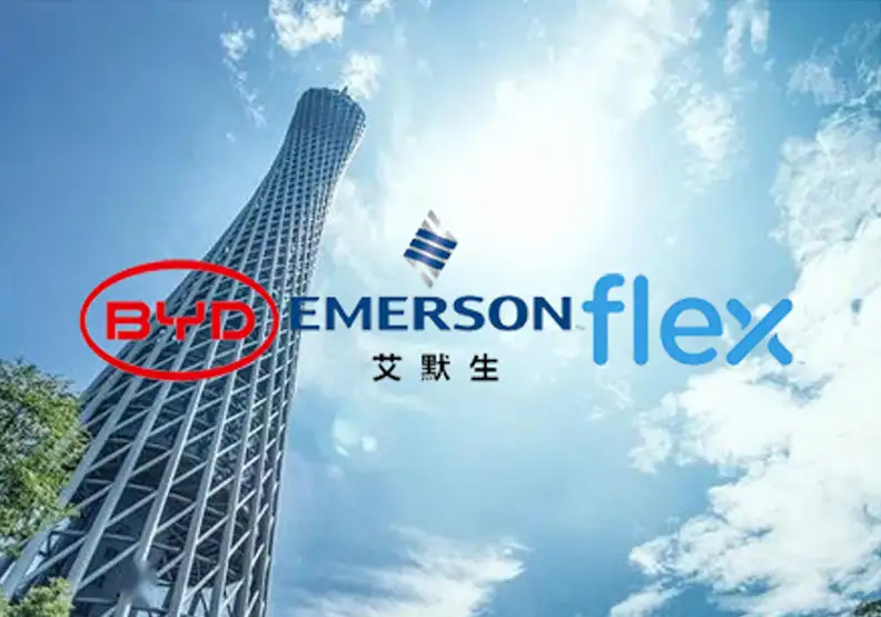 Hậu thuẫn vững chắc – An tâm, tin tưởng