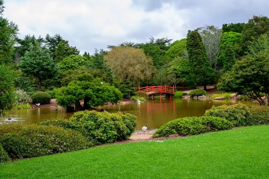 Landscaped Gardens