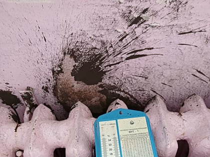 Узнали в Минздраве Карелии, что будет с зубопротезным кабинетом, который хотят закрыть в Кеми