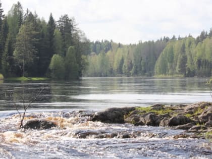 Карелия оказалась среди аутсайдеров по динамике промпроизводства