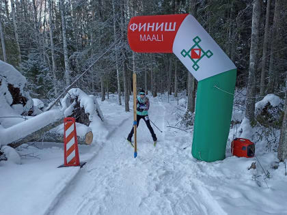 Соревнования по спортивному ориентированию прошли в Петрозаводске