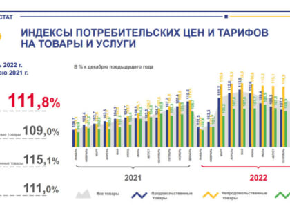 Стало известно, что сильнее всего подорожало в Карелии за год