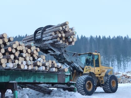 Сортавальский лесозавод переориентировал экспорт после западных санкций