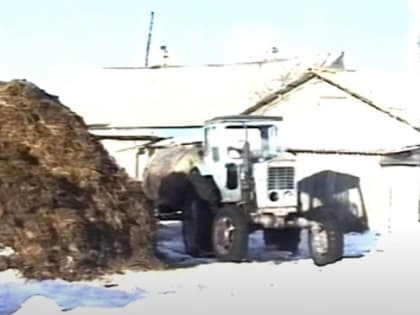 Фермер Карелии: «Лет десять назад казалось, что горы можем свернуть…»