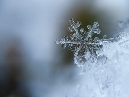 Синоптики обещают снег сегодня в Карелии