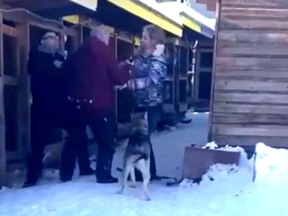 «Проникла в вольер и сама укусила директора». Другая версия драки в Медвежьегорском приюте