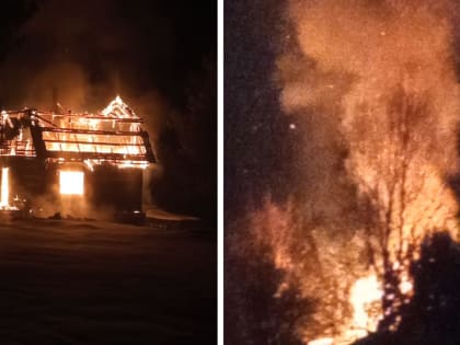 «За это время сгорела половина дома». Жительница деревни, где случился жуткий пожар, рассказала, что не могла вызвать спасателей