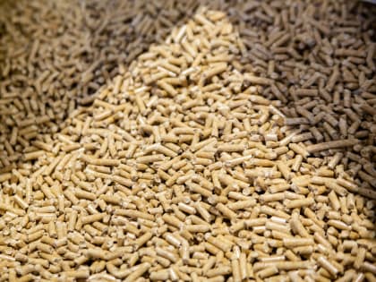 Производители биотоплива в Карелии переключились на российский рынок