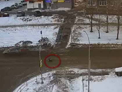 В Петрозаводске водитель сбил девушку на пешеходном переходе и уехал