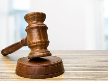 Восьмерых нелегалов из Карелии выдворят за пределы РФ