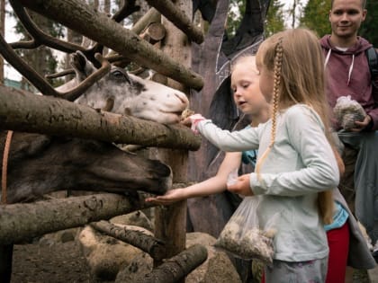 Флагман семейного сельского туризма в Карелии - вотчина Талвиукко: Как в республике развивается это направление