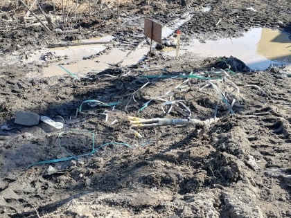 ОРЭС: в прошлые выходные часть петрозаводчан осталась без электричества по вине строителей