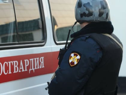 Любителя мицеллярной воды задержали в магазине в Карелии