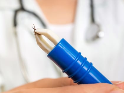 Осторожно, клещи!