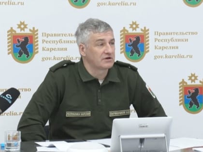 Депутаты Петросовета приняли участие во втором  онлайн- совещании по развитию столицы Карелии