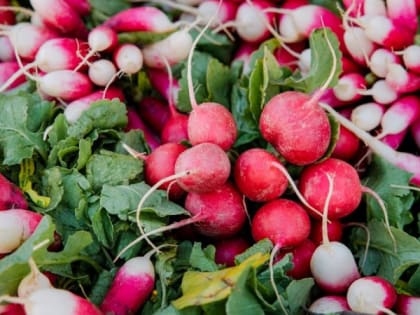 Названы полезные весенние продукты
