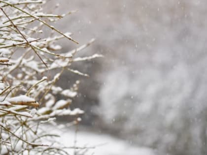 Мороз и снег ожидаются 26 февраля в Карелии