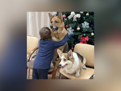 «Открытые сердца»: собаки-терапевты принесли радость детям в детской больнице в Петрозаводске