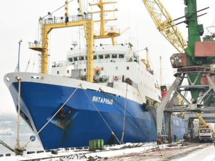 Рыбодобывающие предприятия Карелии показали хорошие результаты