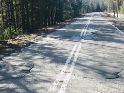 В Карелии отремонтируют подъездную дорогу к водопаду Кивач уже в этом году