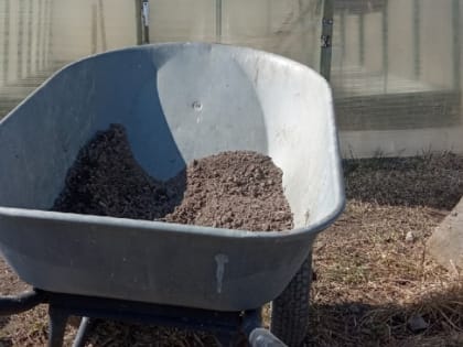 Дачников предупредили о подстерегающих на участках инфекциях