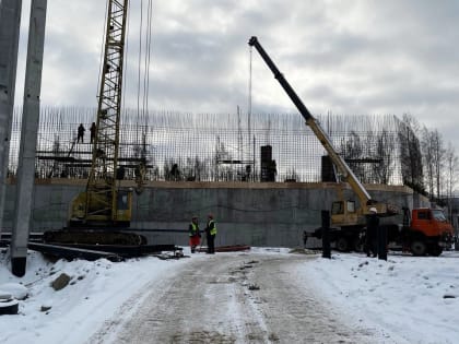 Мороженое со вкусом ряпушки будут производить в технопарке «Карельские продукты»