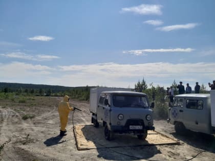 В Карелии сотрудники УФСИН учились бороться с африканской чумой