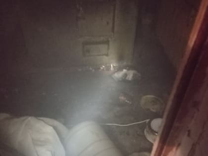 Огнеборцы спасли жильцов из горящего деревянного дома в Лоухи