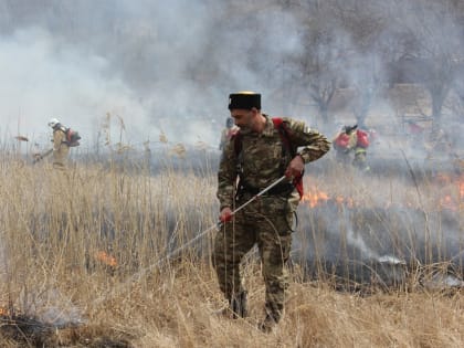 Пятница в Карелии: жёсткое ДТП, встреча с Путиным и лесной пожар