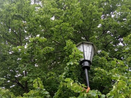 До плюс 18 градусов обещают сегодня в Карелии