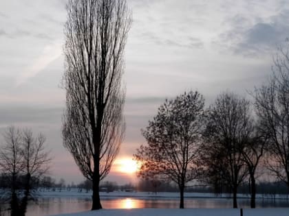 Порывистый ветер и мокрый снег ожидаются в Карелии