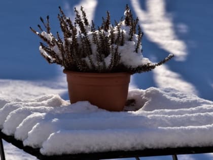 Российским дачникам дали совет, что нужно сделать в начале сезона