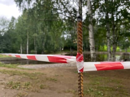 Глава Карелии ввел карантин по птичьему гриппу на всей территории республики