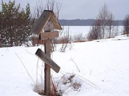 Старинное кладбище в карельской деревне решили сдать в аренду