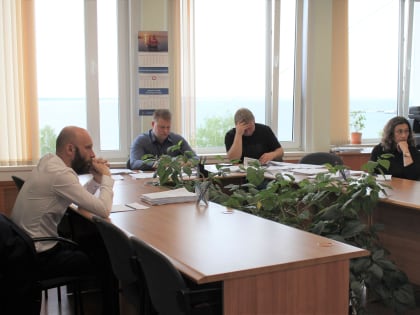 Профильная комиссия Петросовета обсудила изменения в Правила землепользования и застройки города