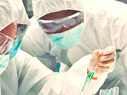 На границе с Россией обнаружили патоген бубонной чумы