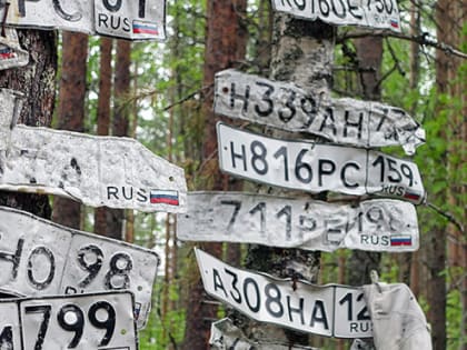 В Карелии в таежном болоте ежегодно тонут десятки автомобилей