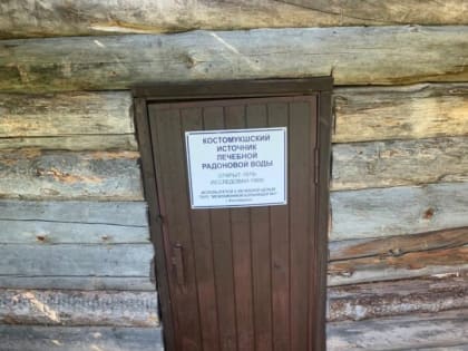 В Карелии хотят развивать медицинский туризм и лечить радиацией