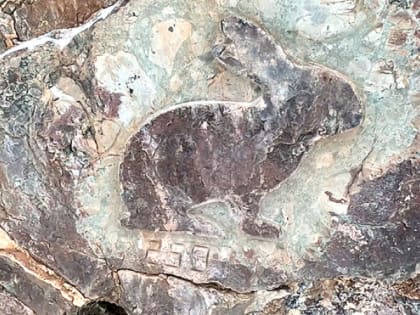 Каждый может иметь собственный петроглиф