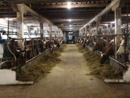 Правительство Карелии продолжит поддерживать совхозы республики