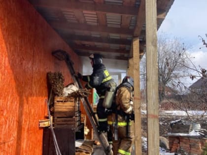 Вспыхнувшую баню на севере Карелии потушили за полчаса