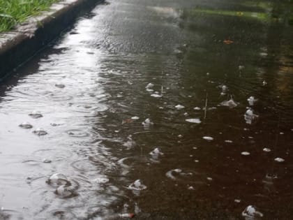 До 21 градуса тепла обещают сегодня в Карелии