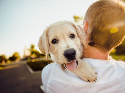 Костомукшанина обвинили в мошенничестве