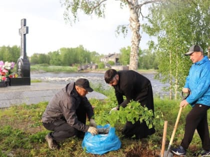 Деревья, выращенные потомками арапа Петра Великого, посадили в Карелии