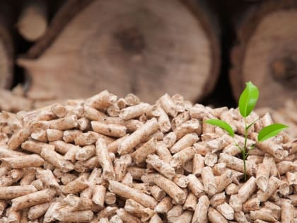 Завод по производству древесных пеллет запустили в Пудожском районе