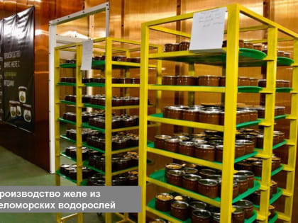 Глава Карелии рассказал об итогах 2023 года в сельском и рыбном хозяйстве