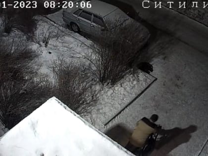 Предполагаемый вор велосипеда в Петрозаводске попал на видео